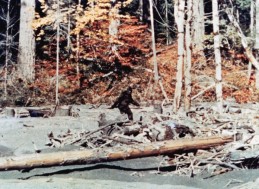 Is-Bigfoot-Real-10-Famous-Sightings-That-Might-Make-You-Believe-696x510